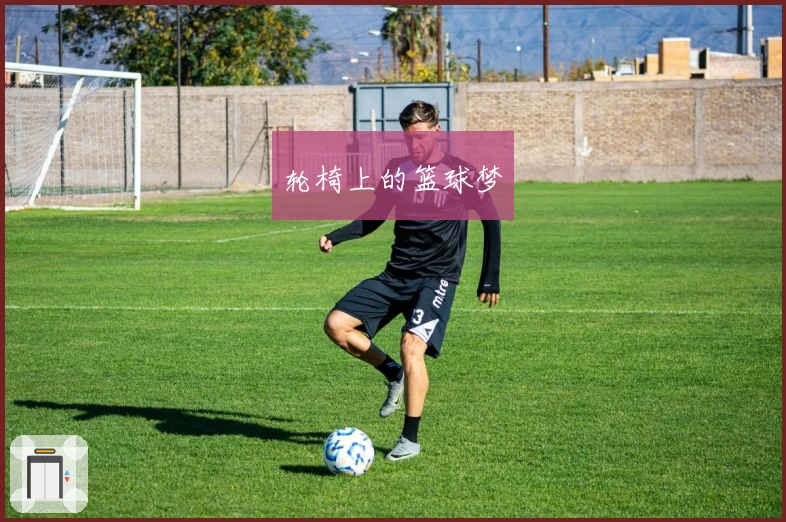 轮椅上的篮球梦