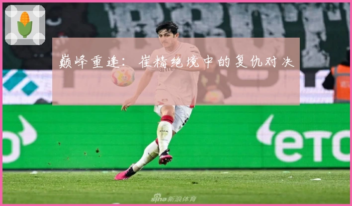 巅峰重逢：崔精绝境中的复仇对决