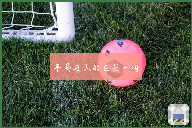 平易近人的巨星一梅